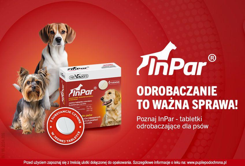 odrobaczanie psa po wakacjach