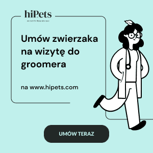 groomer hipets umów wizytę