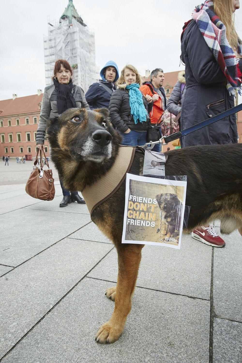 Zerwijmy łańcuchy 2017"