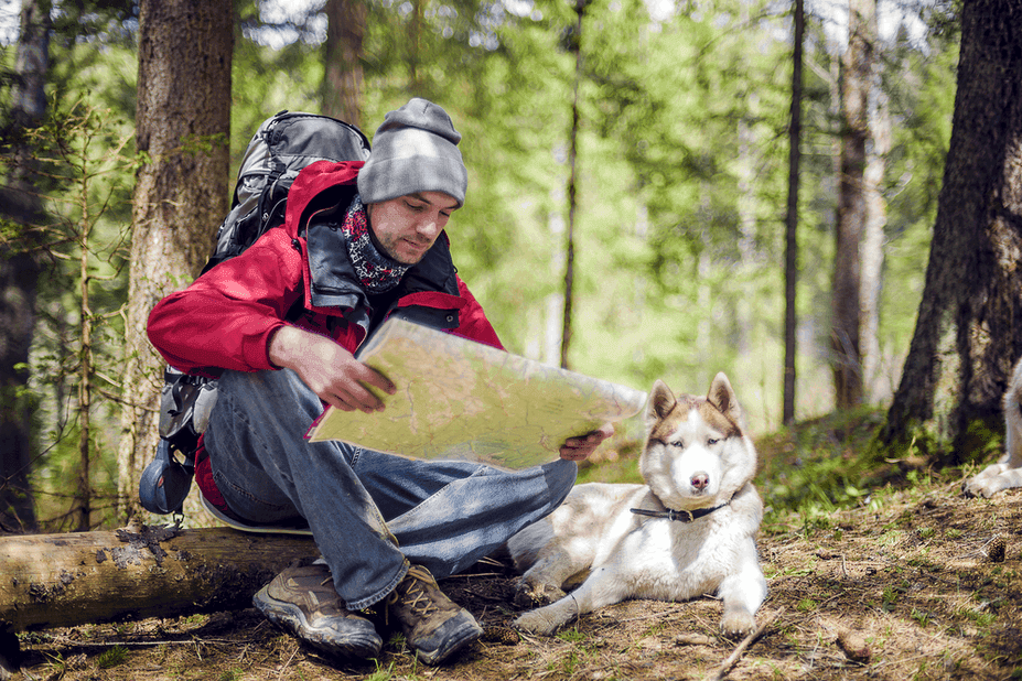 dogtrekking