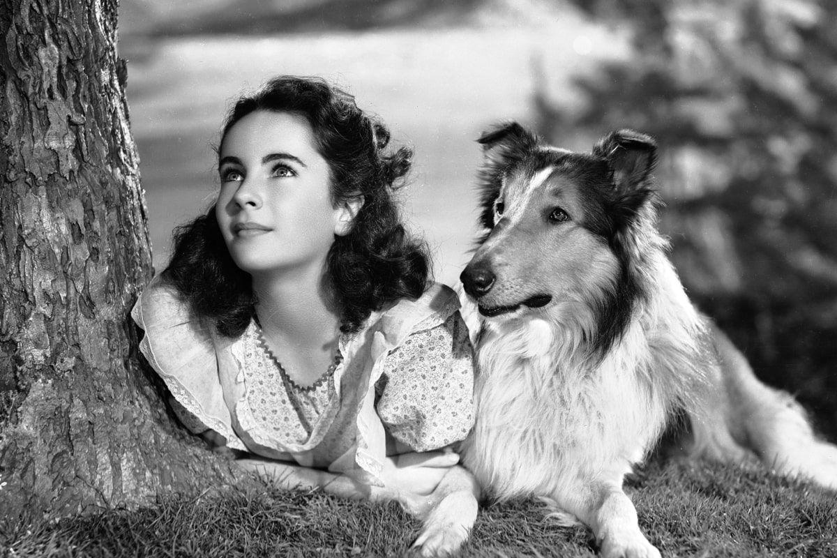 elizabeth taylor