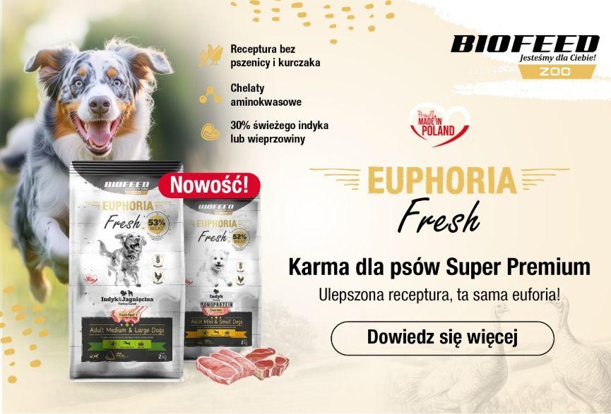 euphoria fresh.jpeg
