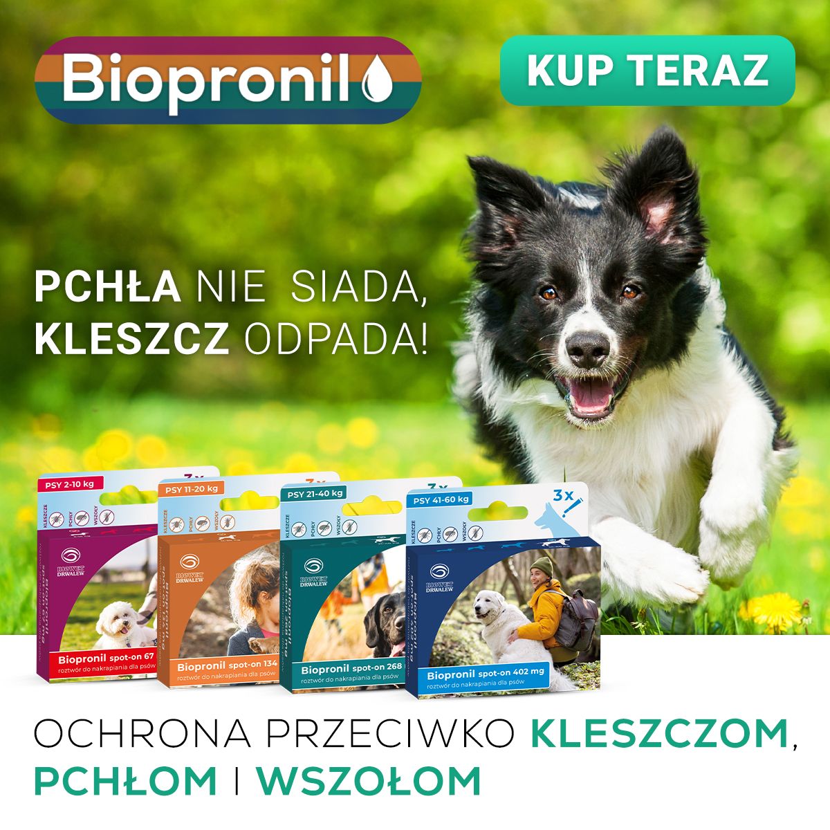 biopronil vet expert na kleszcze