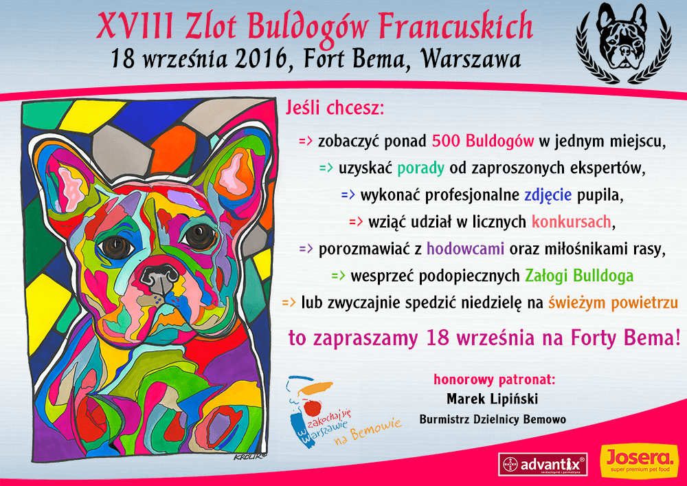 Zlot Buldogów Francuskich