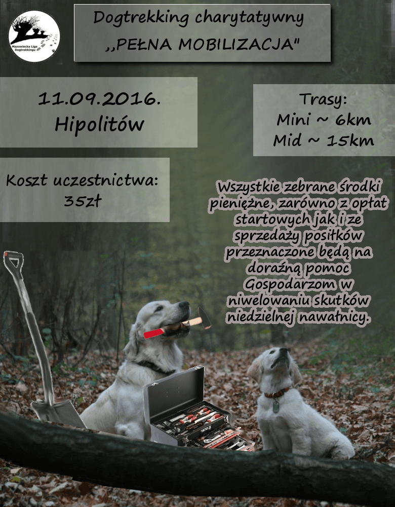 dogtrekking