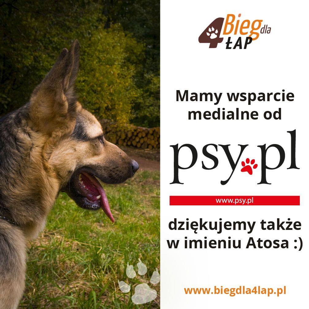 Pobiegną, by postawić Atosa na cztery łapy