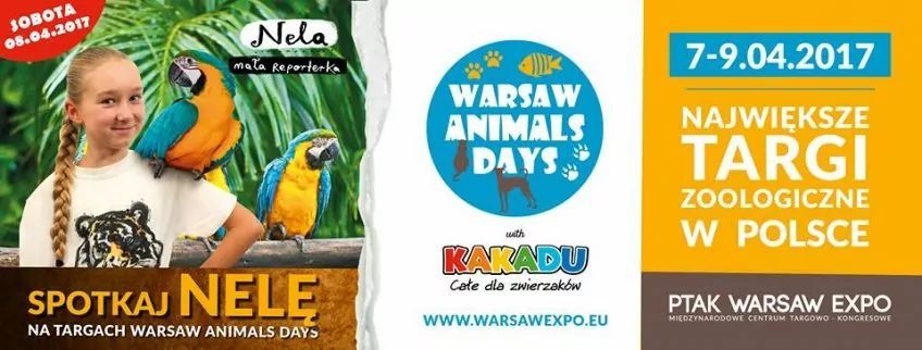 animals days