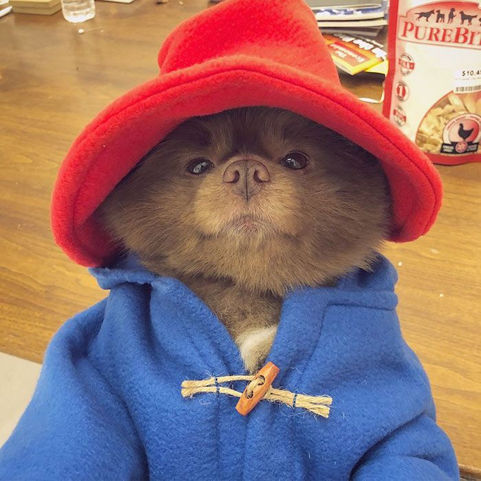 Bertram