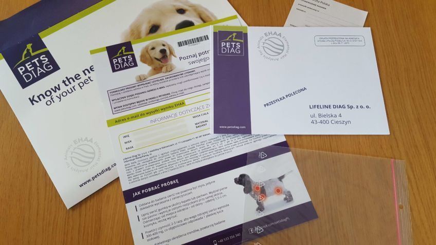 zawartość koperty ehaa