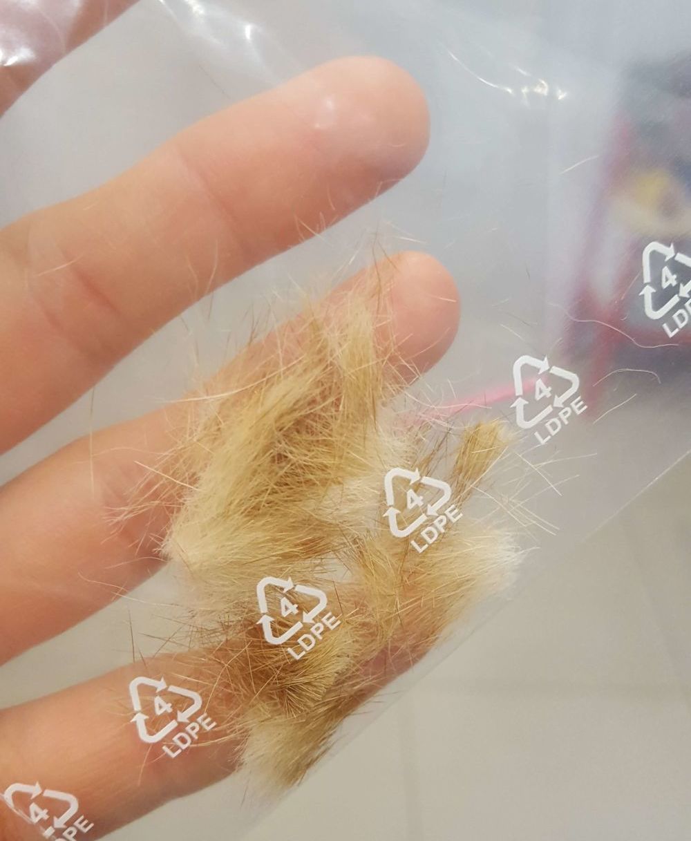 sierść do laboratorium