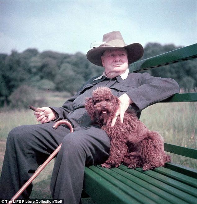 Churchill ze swoim psem pudlem o imieniu Rufus w 1949