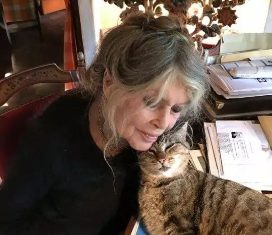 Bardot Brigitte z kotem