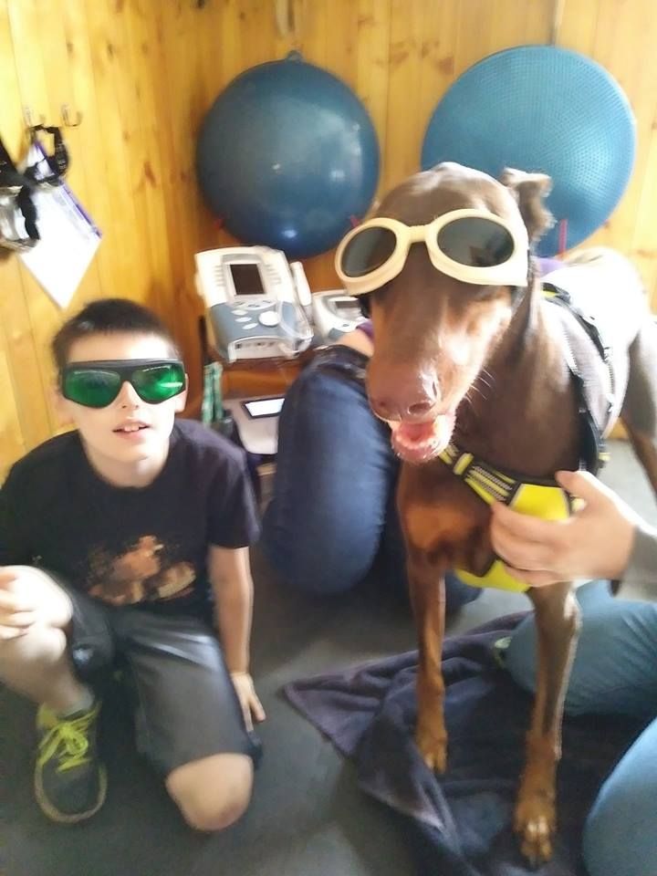 Chłopiec i doberman