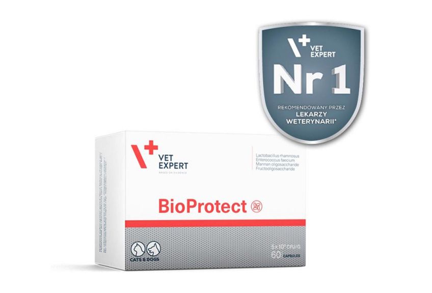 Vet Expert Bioprotect – probiotyk dla psów i kotów