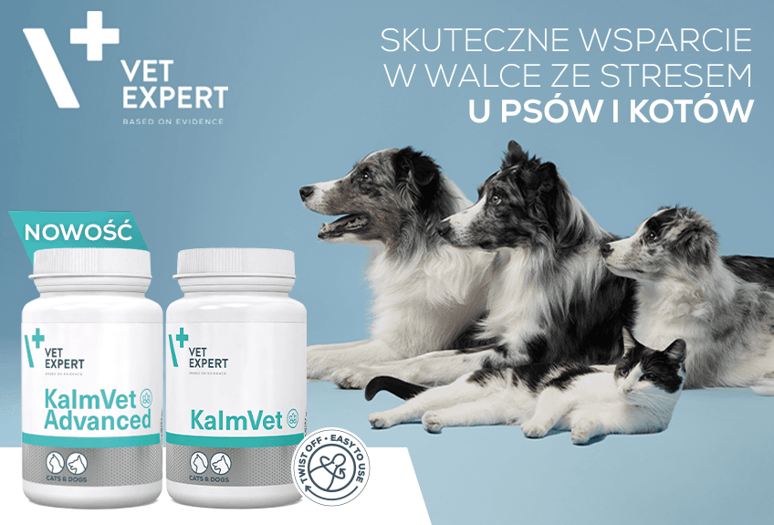 848x575_Psy_VE_KalmVet.png