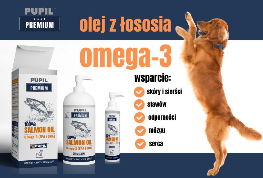 co daje psu olej z łososia