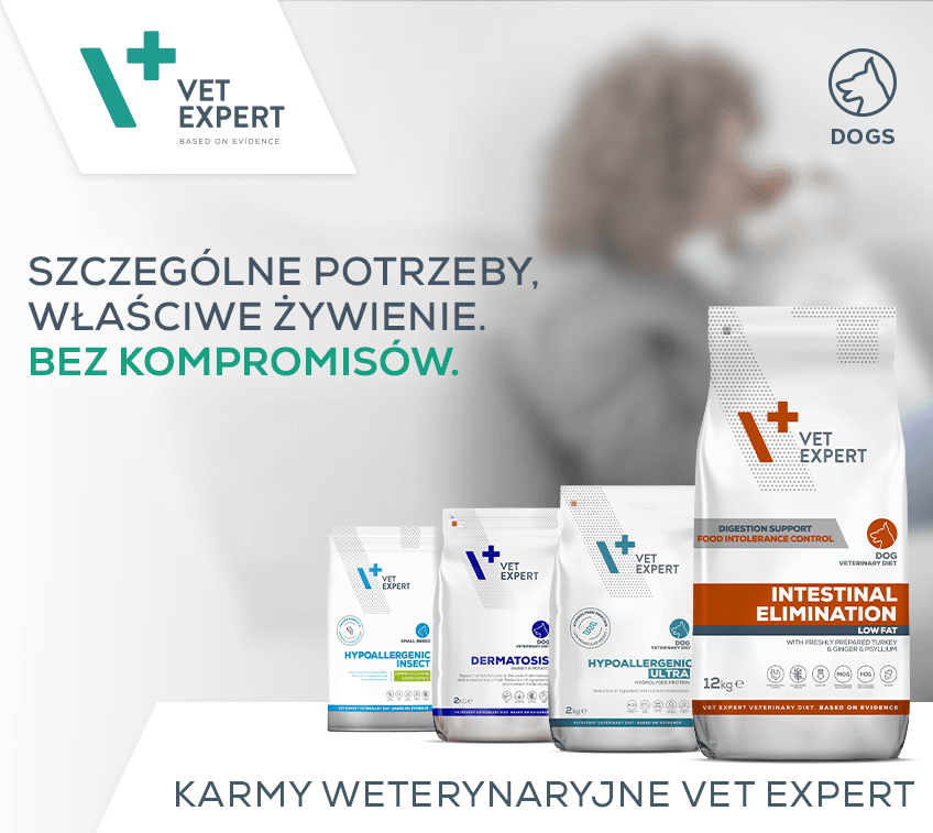 848x757_VE_KV_Diety_Iza_KampDiet.png