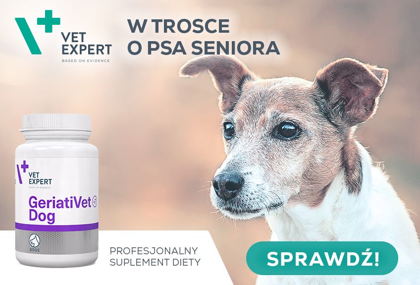 w trosce o seniora