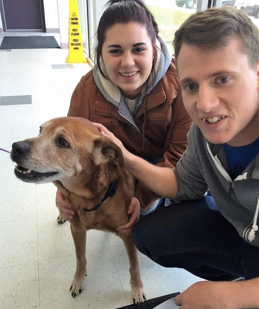 Rocky w dniu adopcji