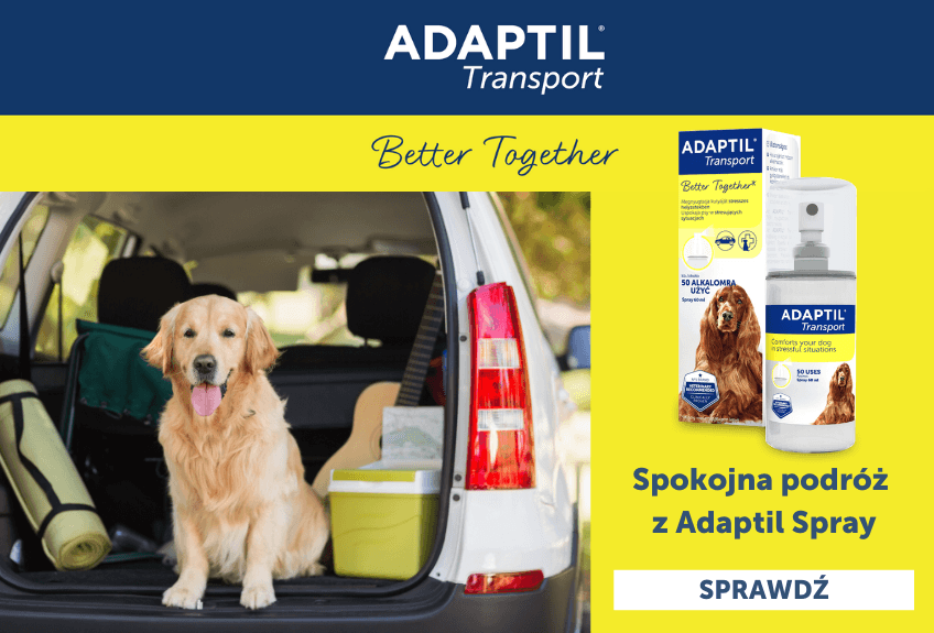 adaptil transport spray, podróż z pupilem