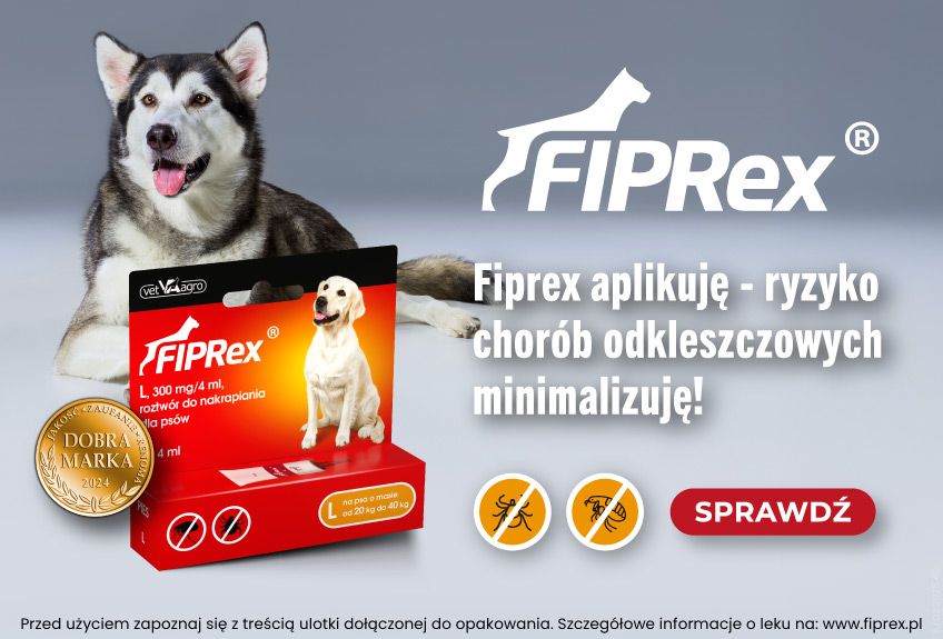 sposoby na kleszcze u psa
