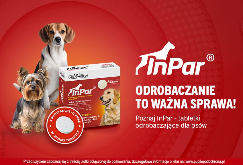 zarażenie pasożytami u psa