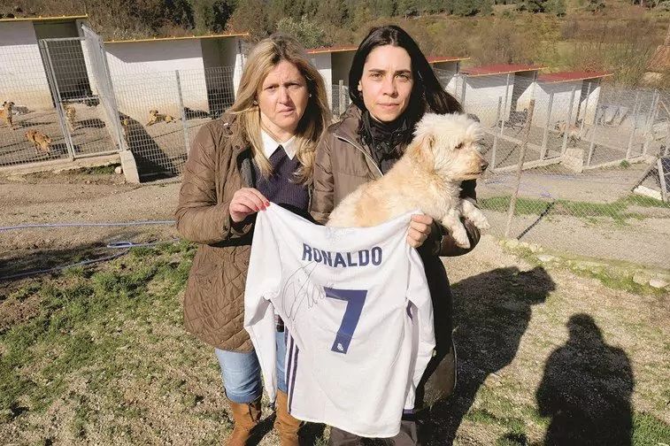 Koszulka z podpisem Ronaldo w schronisku