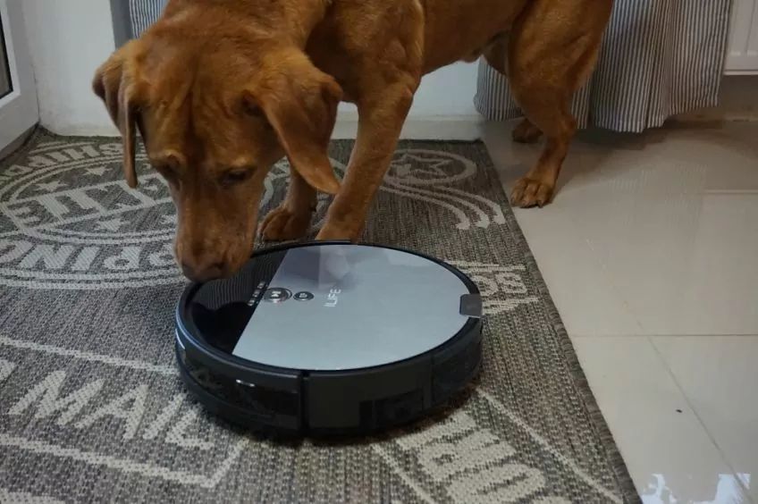 Dino i robot