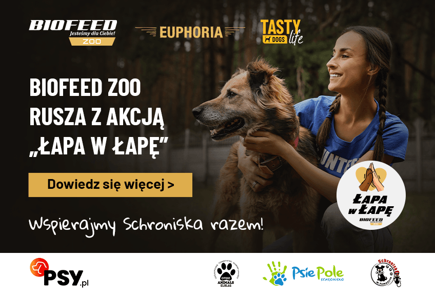akcja
