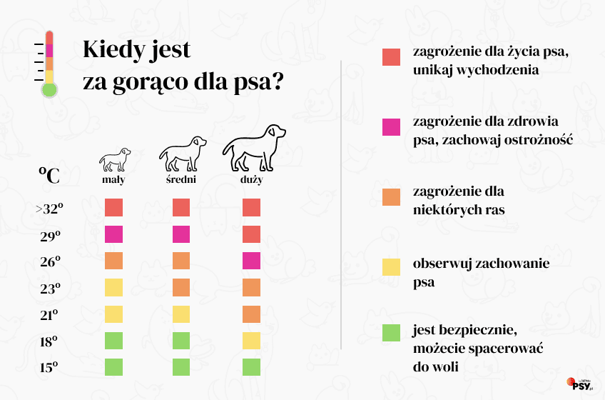 kiedy jest za gorąco dla psa