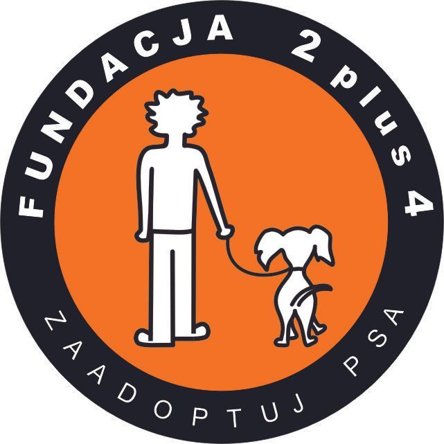 Fundacja 2+4