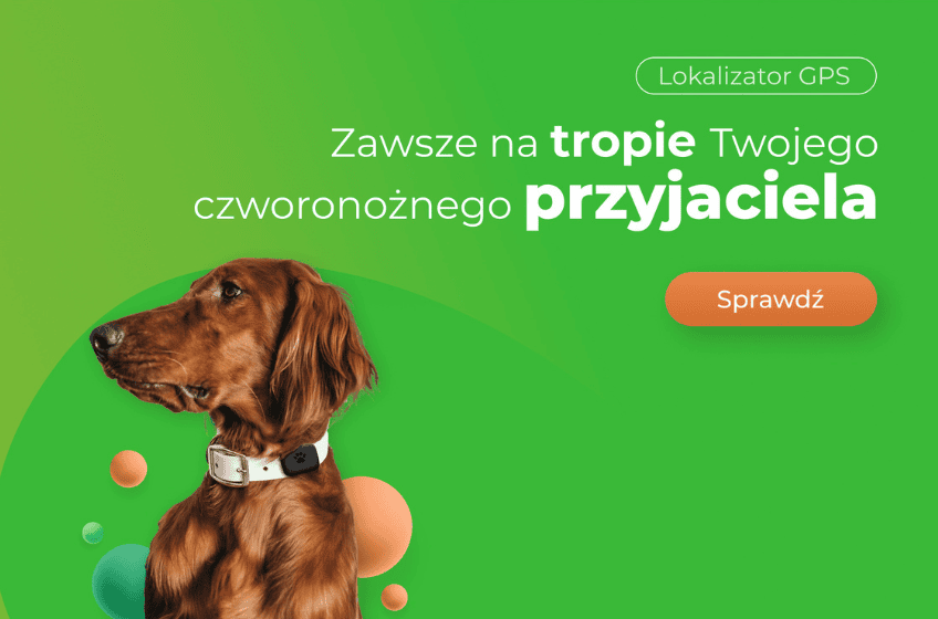 lokalizator gps logon