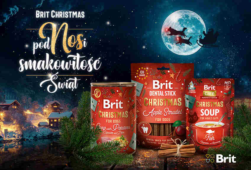 brit care christmas