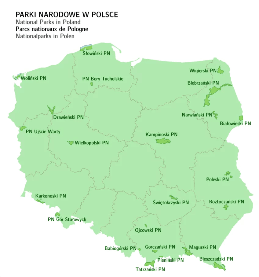 parki narodowe z psem