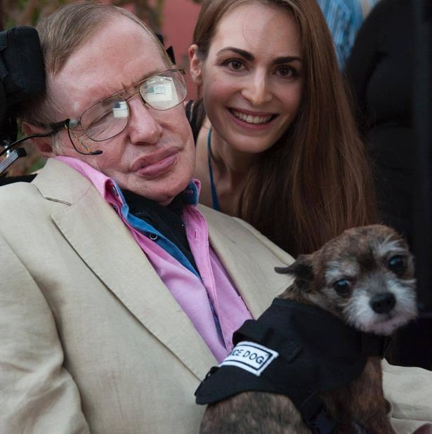 Pies i Steven Hawking