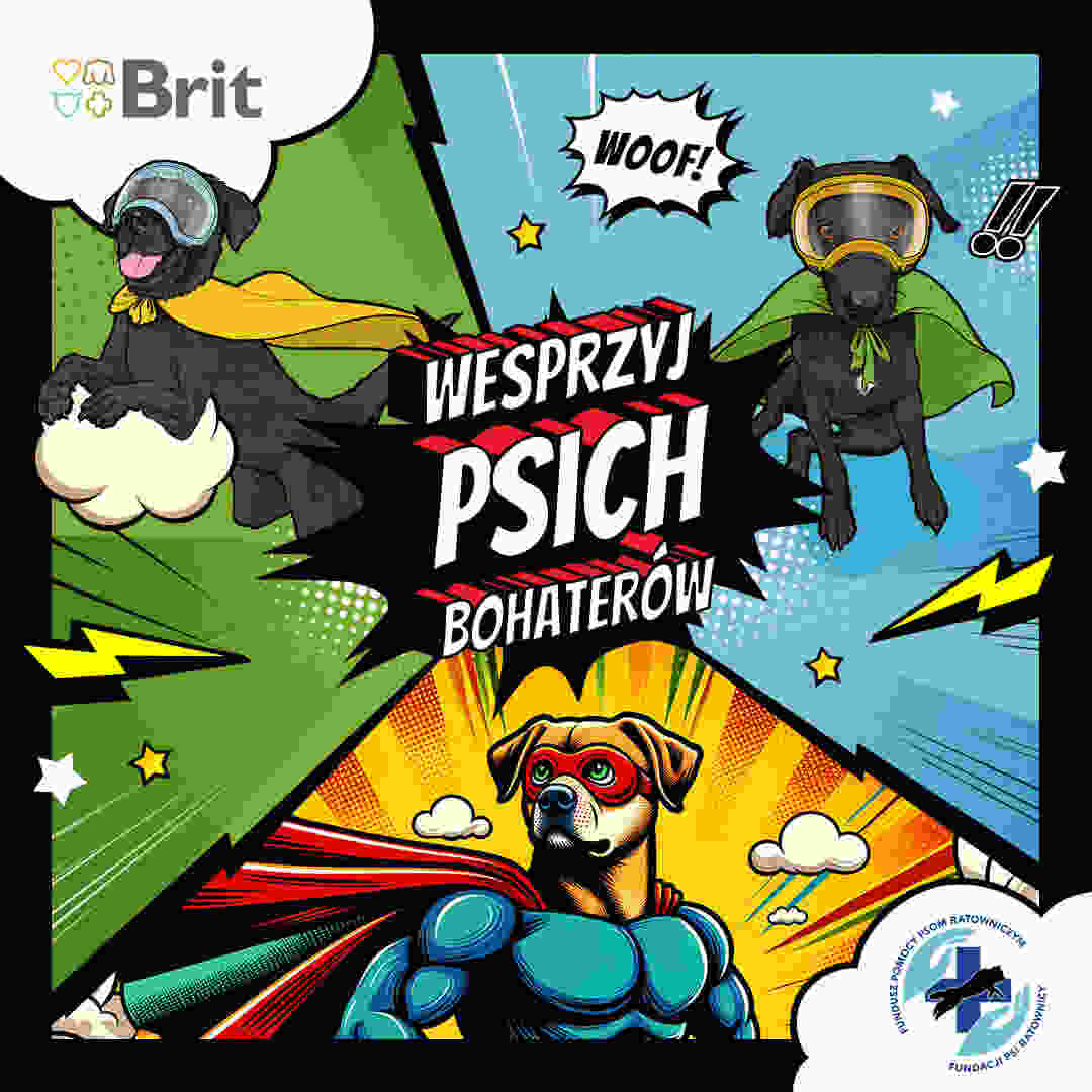 psi bohaterowie Brit