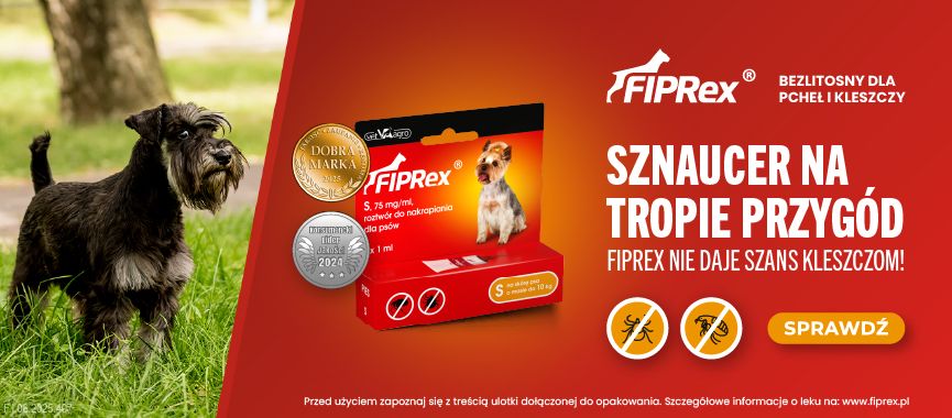 Psy.pl baner Sznaucer (2).jpg