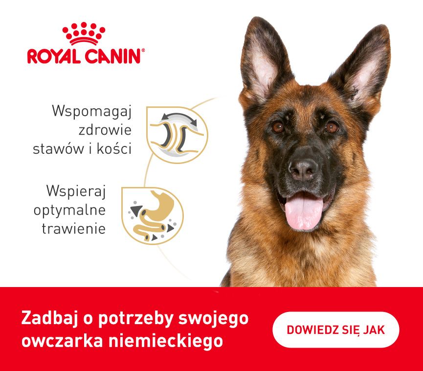 RC-breed-kampania-owczarek niemiecki.jpg