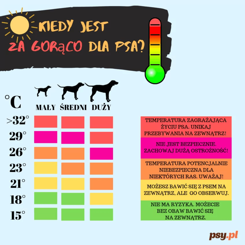kiedy jest za gorąco dla psa