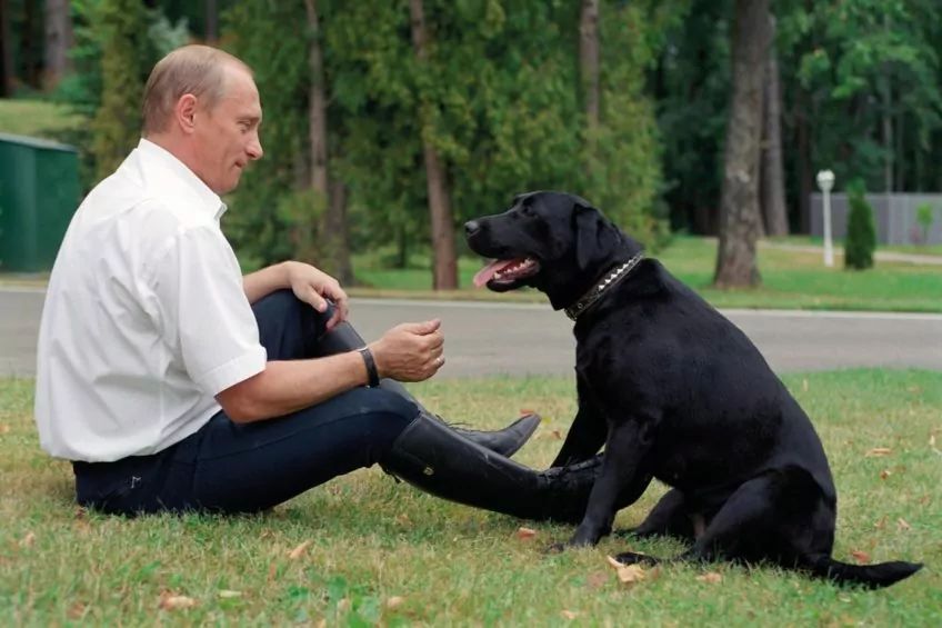Władimir Putin i Koni