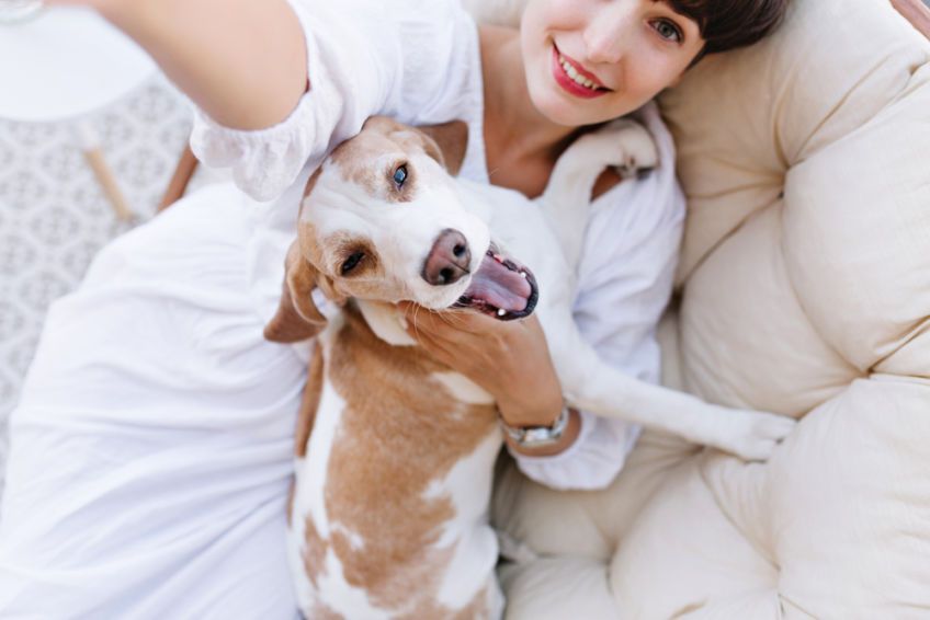 beagle i dziewczyna