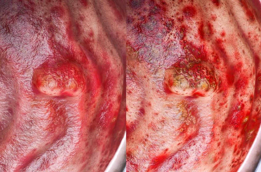 choroba wrzodowa u psa.jpg