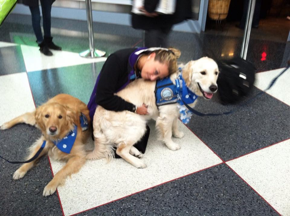 comfort_dogs_11096516_789728594436286_207073960542776911_n.jpg