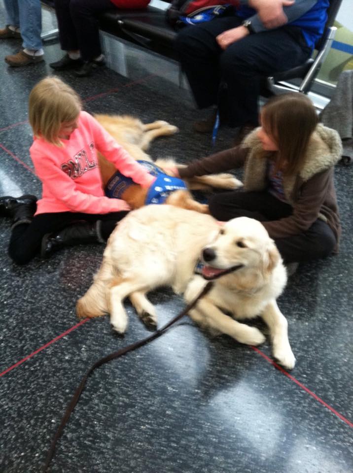 comfort_dogs_11116315_789728607769618_4446812707878719482_n.jpg