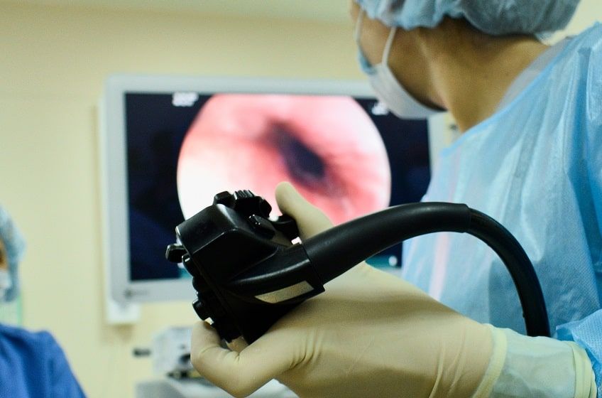 gastroskopia u psa-min.jpg