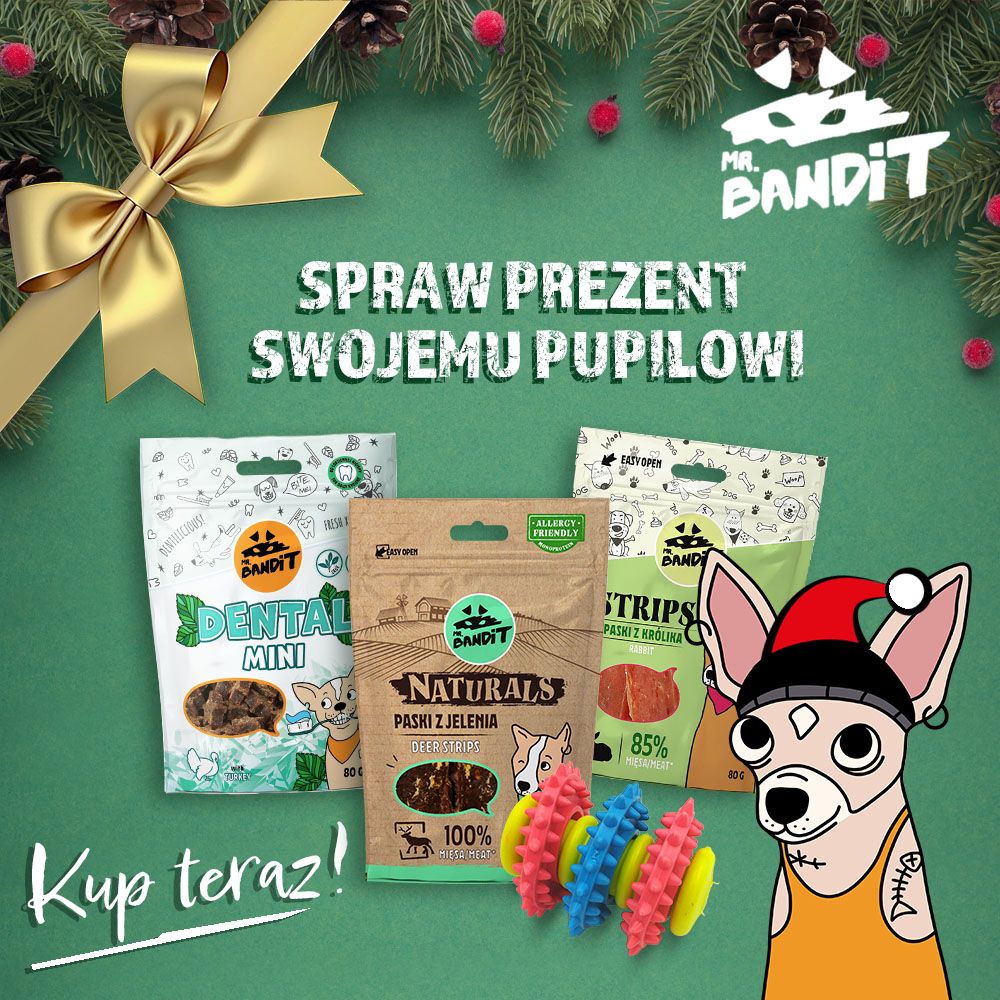prezent dla psa na święta