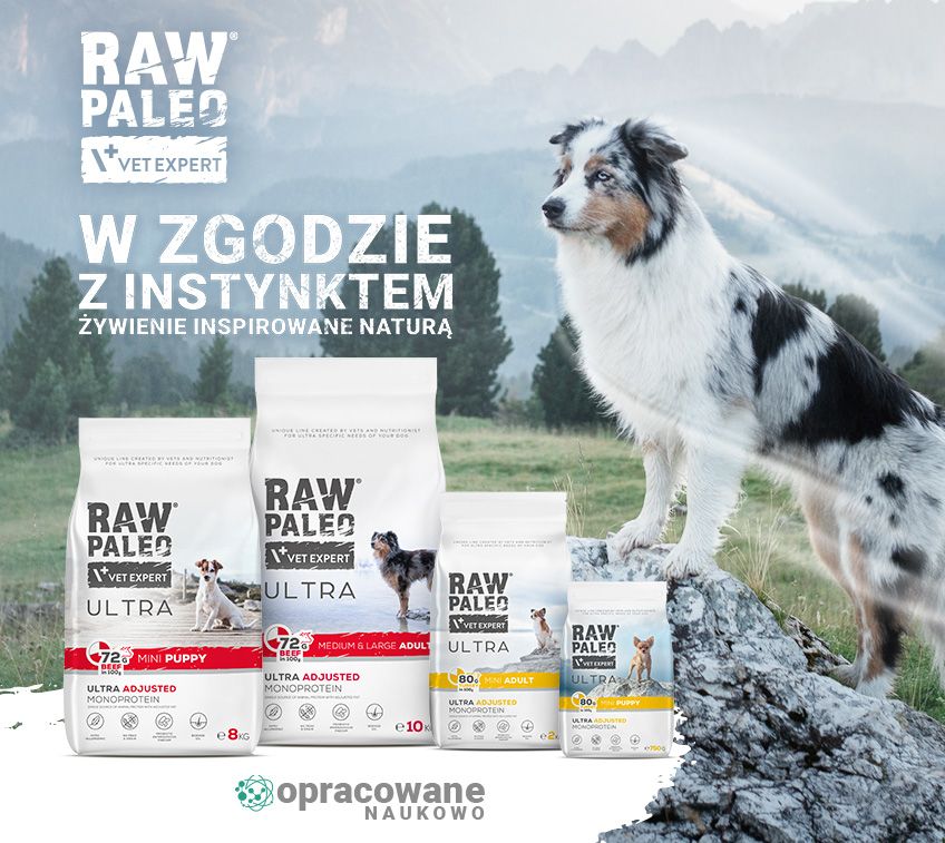 zalety mieszanego sposobu karmienia psa mokrą i sucha karmą