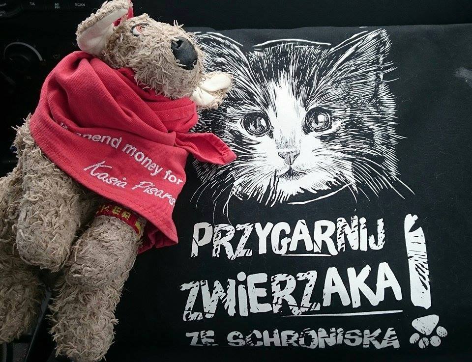 kasia_pisarska_logo_akcji.jpg