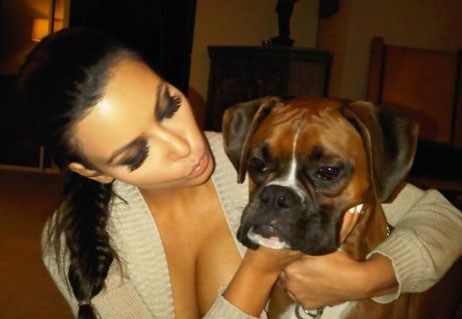 Kim i pies bokser