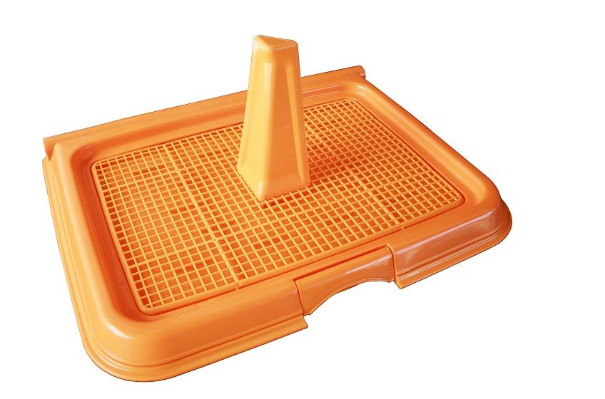 kuweta dla szczeniaka.jpg